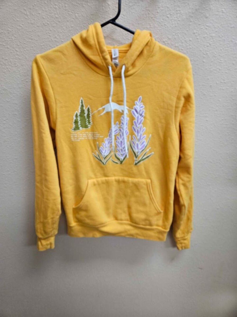 Alaska Artist Hoodie